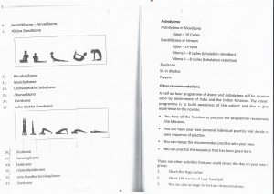 International Yoga Day 2015 practice programme part2